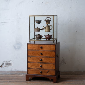 Collectors Chest, 19th Century