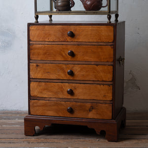 Collectors Chest, 19th Century