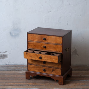 Collectors Chest, 19th Century