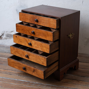 Collectors Chest, 19th Century