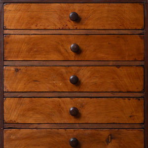 Collectors Chest, 19th Century