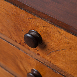 Collectors Chest, 19th Century