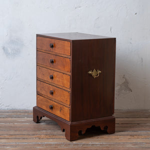 Collectors Chest, 19th Century