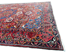 Heriz Bakhtiar Rug - 9'11" x 14'