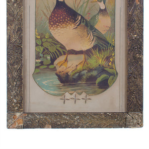 Victorian Duck Chromolithograph