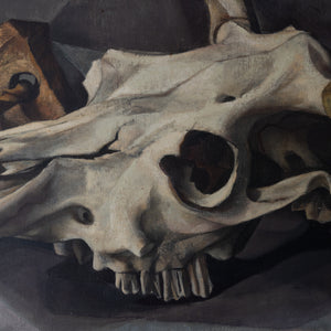 Francis de Erdely Still Life with Skull and Shells