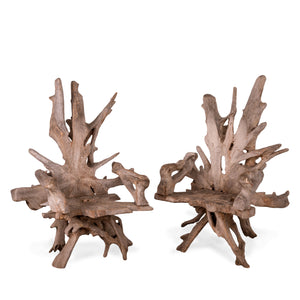 Silvered Teak Root Chairs - A Pair