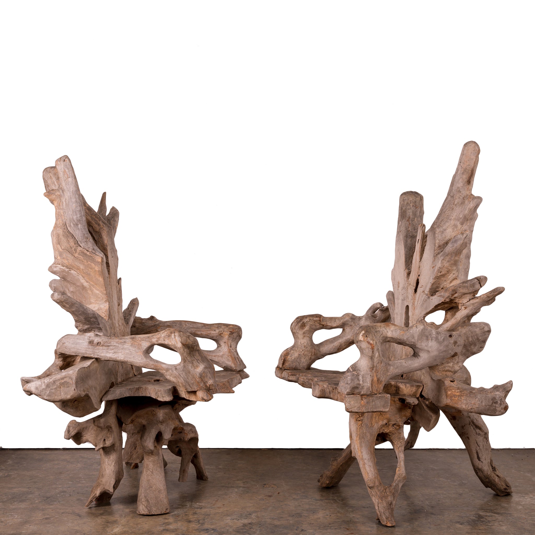 Silvered Teak Root Chairs - A Pair